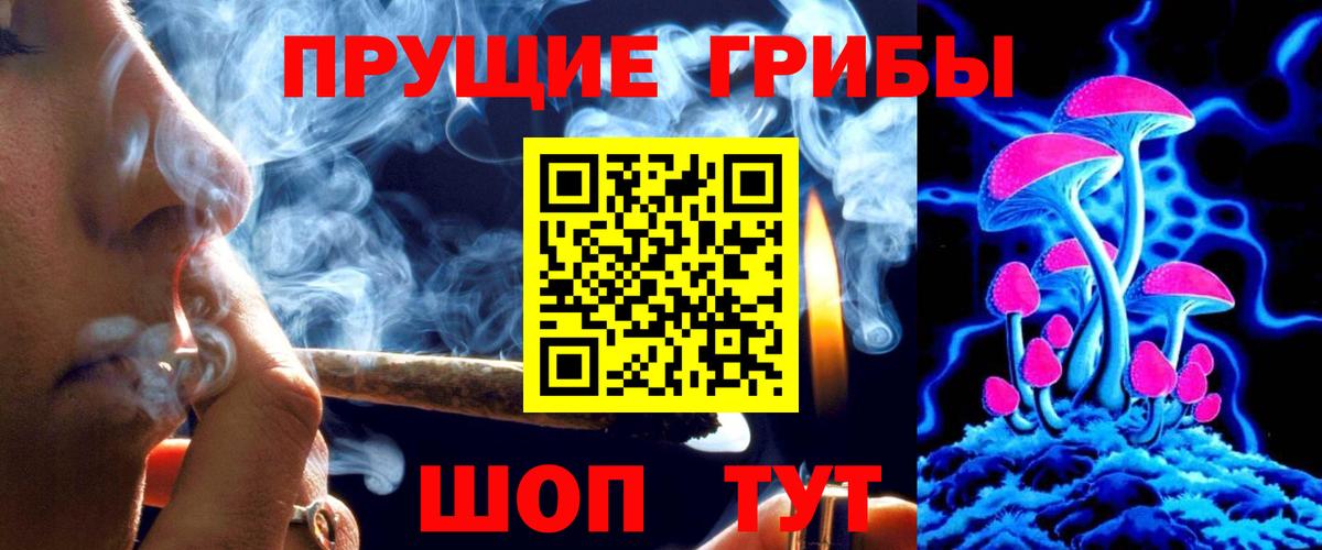 Миасс  Псилоцибиновые грибы Psilocybine cubensis  Вход с VPN 