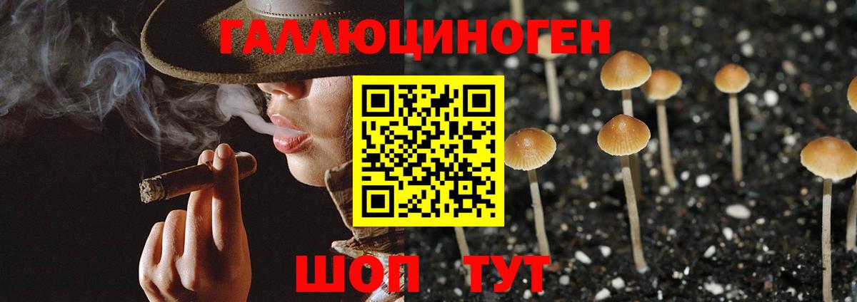 Псилоцибиновые грибы мицелий Миасс