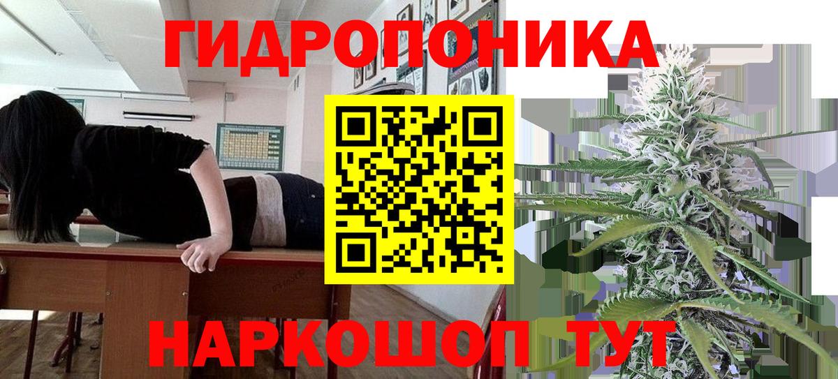 Миасс  Каннабис планчик  МАРИХУАНА гибрид  Вход с VPN  Канабис OG Kush 